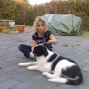 Blanding af racer Viktor døbt Destany