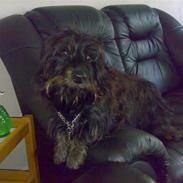 Blanding af racer Charlie