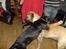 Blanding af racer Enzo R.I.P MIN DRENG - Hei lady giver du en ridetur 