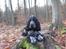 Cocker spaniel Basil