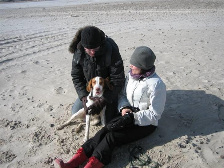 Breton Gaston billede 3