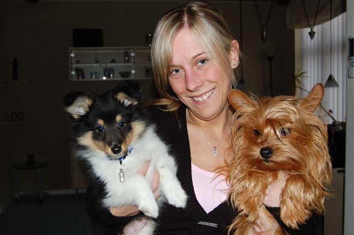 Shetland sheepdog Lucca - Mig og mine to drenge ;o) billede 8