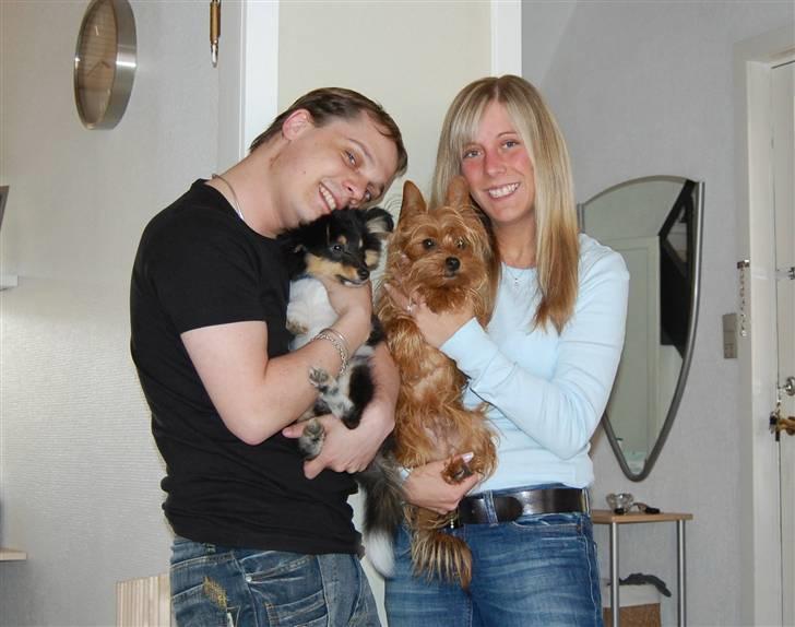 Shetland sheepdog Lucca - Mig og mine tre drenge :o) billede 14