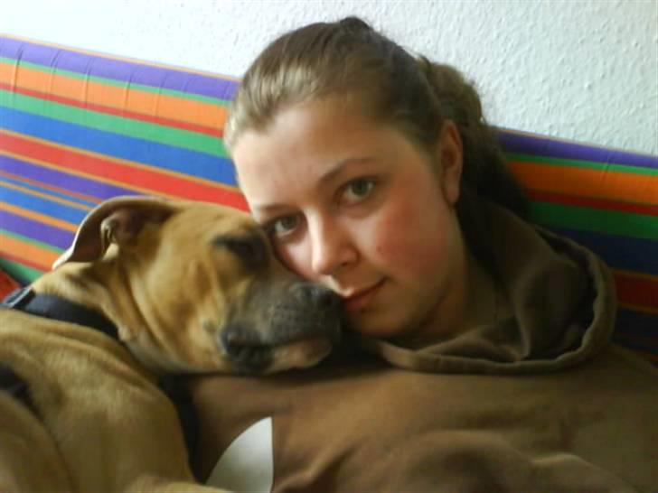 Amerikansk staffordshire terrier Naya billede 12