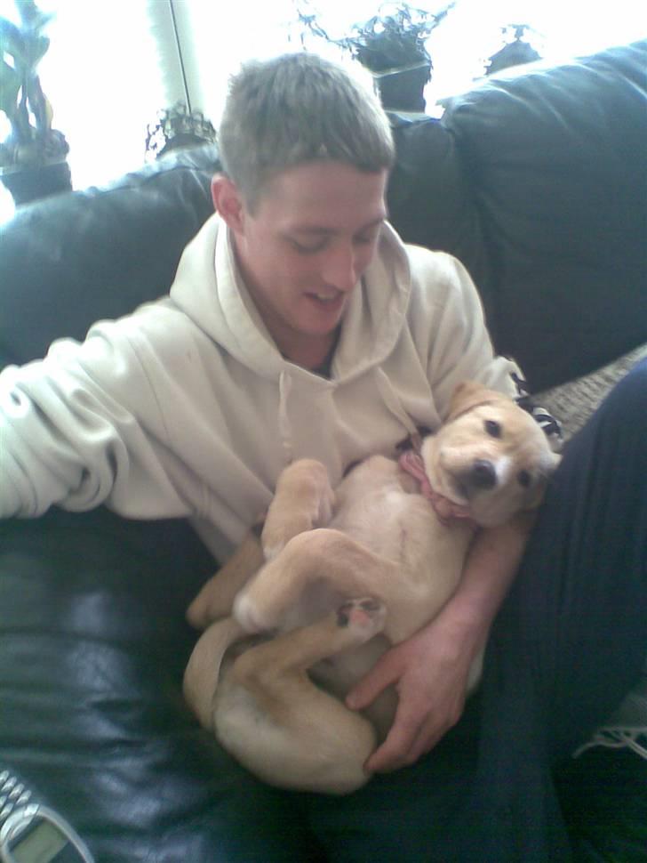 Blanding af racer zico billede 17