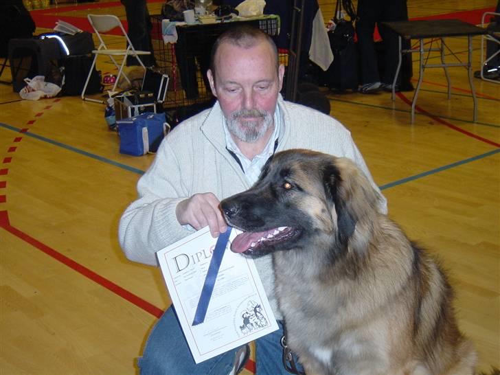 Leonberger Leodania´s Phaona Shewolf - Juleskue i Thisted billede 1