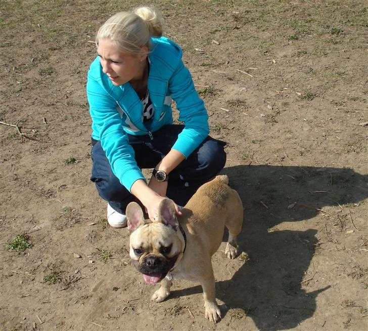 Fransk bulldog Chopper - Med mor i hundeskoven, er jeg ikk bare dejlig REN.. wif wif :) billede 1