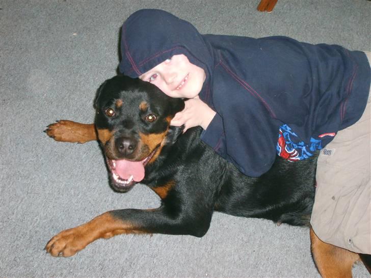 Rottweiler Britannia  - Britannia med min nevø på 7 år billede 3