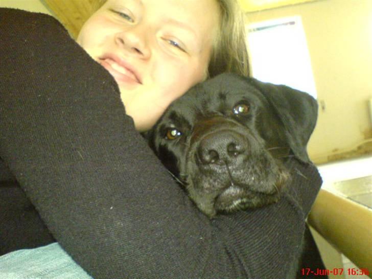 Blanding af racer Balou billede 9