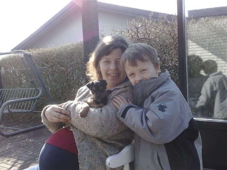 Blanding af racer Osvald - Osvald på besøg hos  min tvillingesøster og hendes dreng Matias billede 6