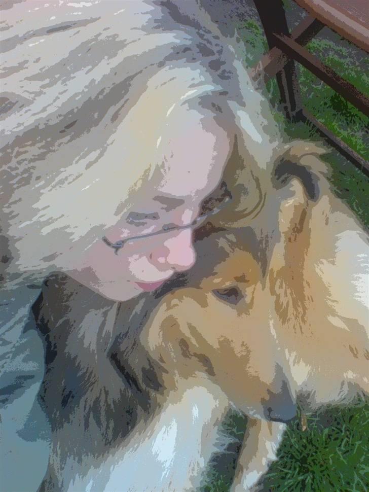 Collie langhåret Ariel | MIT ET&ALT <3 - 17) Siges det ikke at ejeren og hunden ligner hinanden ? ;D <3 billede 17