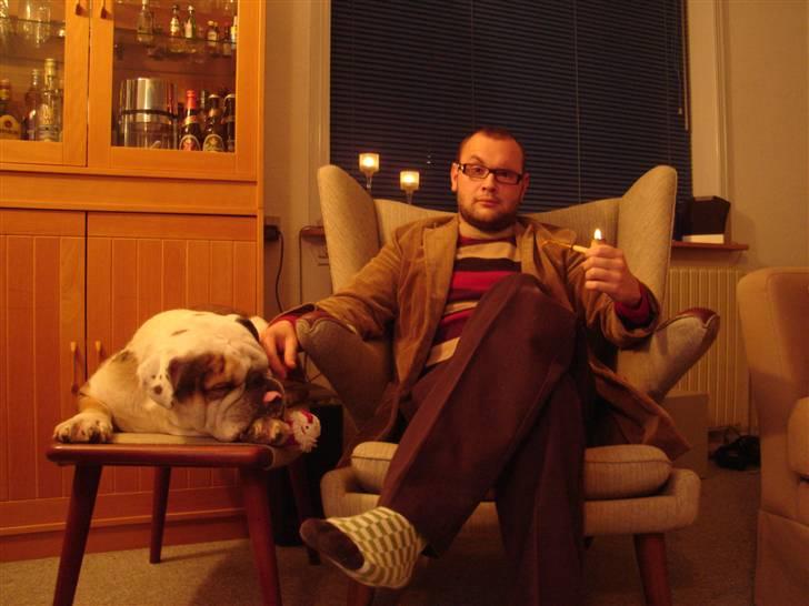 Engelsk bulldog Carlos billede 5