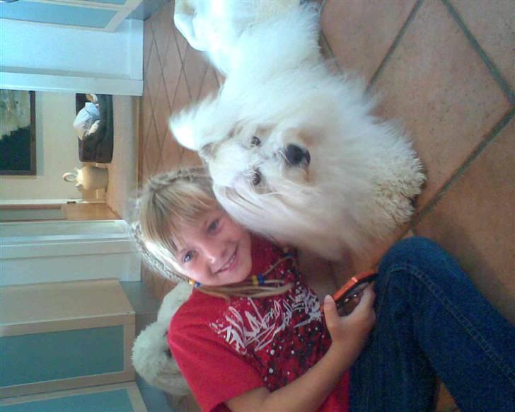 Coton de tulear Oscar<3 - Oscar Og Min Lille Søster billede 4