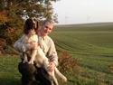 Engelsk springer spaniel Montie