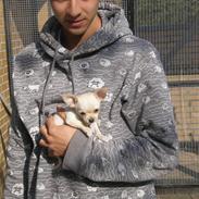 Chihuahua Mille 