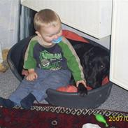 Blanding af racer Bella.