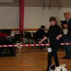 Papillon Axa's kejser