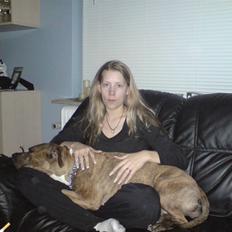 Amerikansk staffordshire terrier Tyta R.I.P 