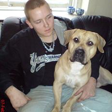 Blanding af racer Cani R.I.P