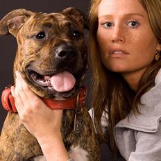 Blanding af racer Amstaff/Presa *Chanel*