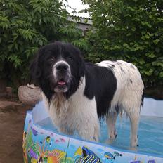 Blanding af racer Talut-Sov sødt smukke dreng