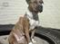 Amerikansk staffordshire terrier Tyta R.I.P 