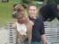 Amerikansk staffordshire terrier Tyta R.I.P 