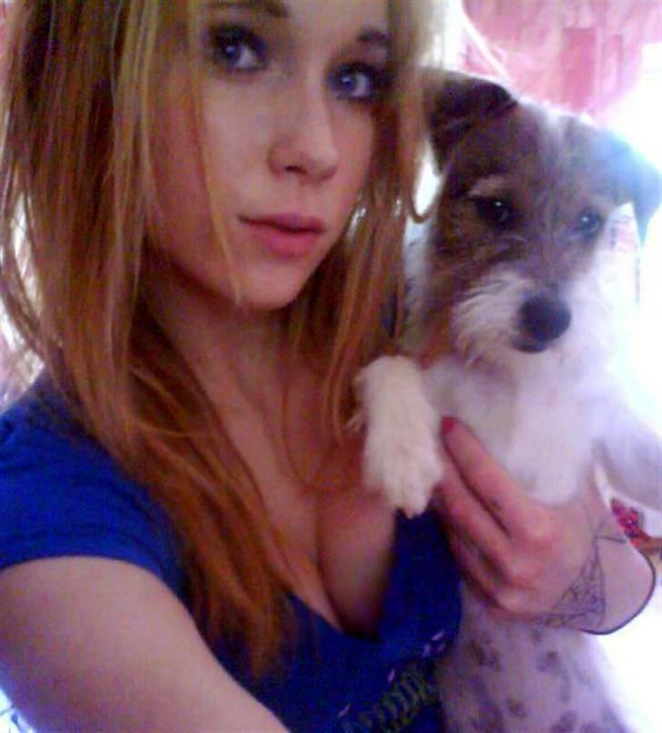 Parson russell terrier » Haldumlunds † Cassi † « - * Det sidste billede jeg fik taget af os 2 sammen . 1½ før hun blev kørt ned * billede 8