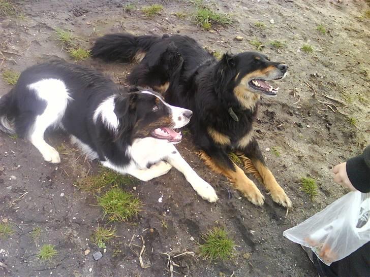 Blanding af racer Thyson ' nye billeder <3 billede 20