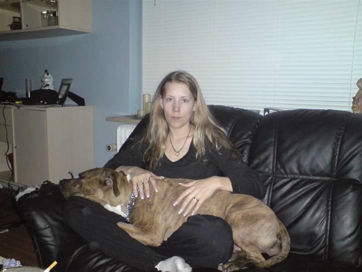 Amerikansk staffordshire terrier Tyta R.I.P  billede 2