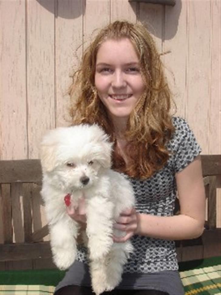 Coton de tulear Ella - En meget lykkelig hundeejer billede 18