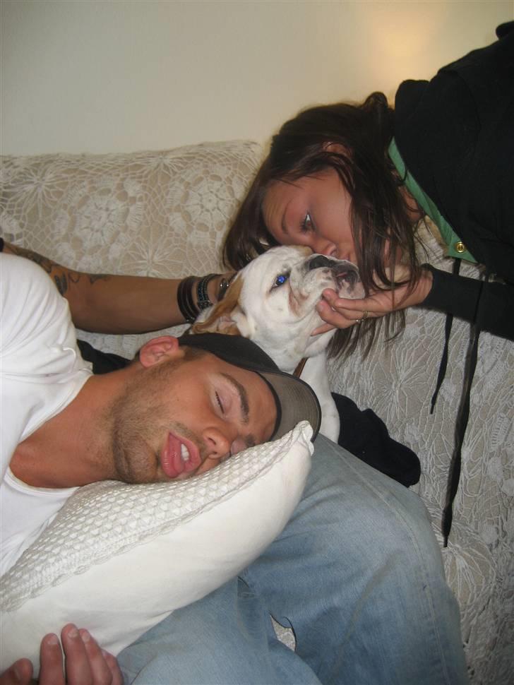 Engelsk bulldog Nanna - Hygge i sofaen med far og moster:) billede 5