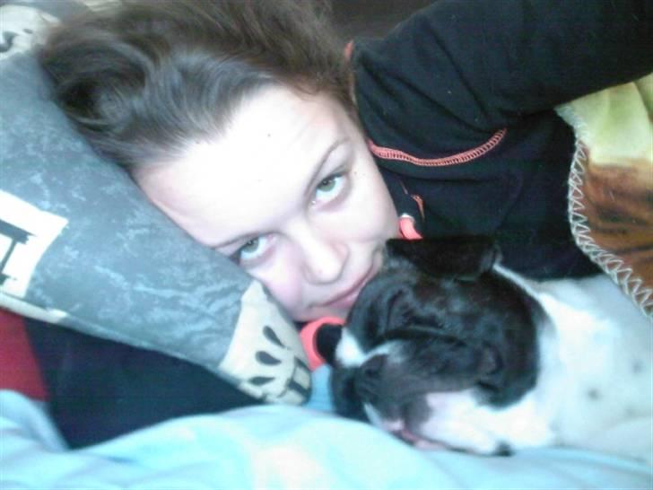 Blanding af racer Daisy - Mor og mig tager en slapper på sofaen:) billede 15