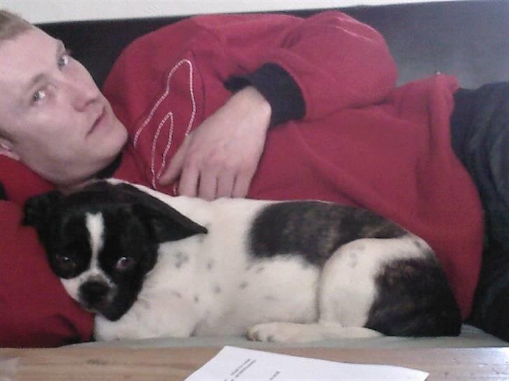 Blanding af racer Daisy - Jeg ELSKER bare at putte med min far:) billede 16