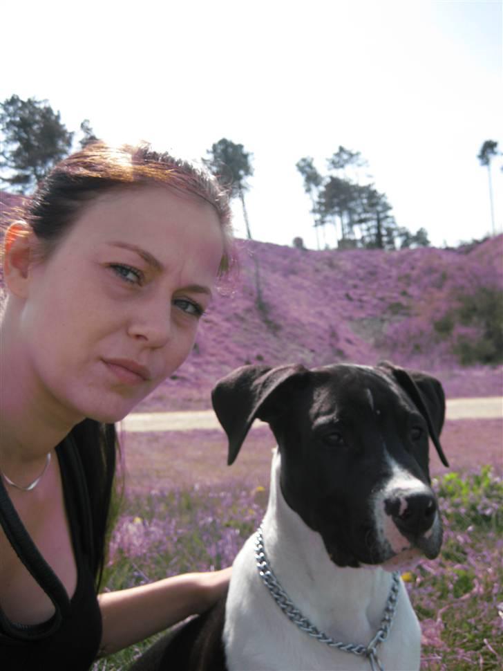 Blanding af racer Enzo *SOLGT* - På klint med min mor. Hvor vi bare hyggede :) billede 16