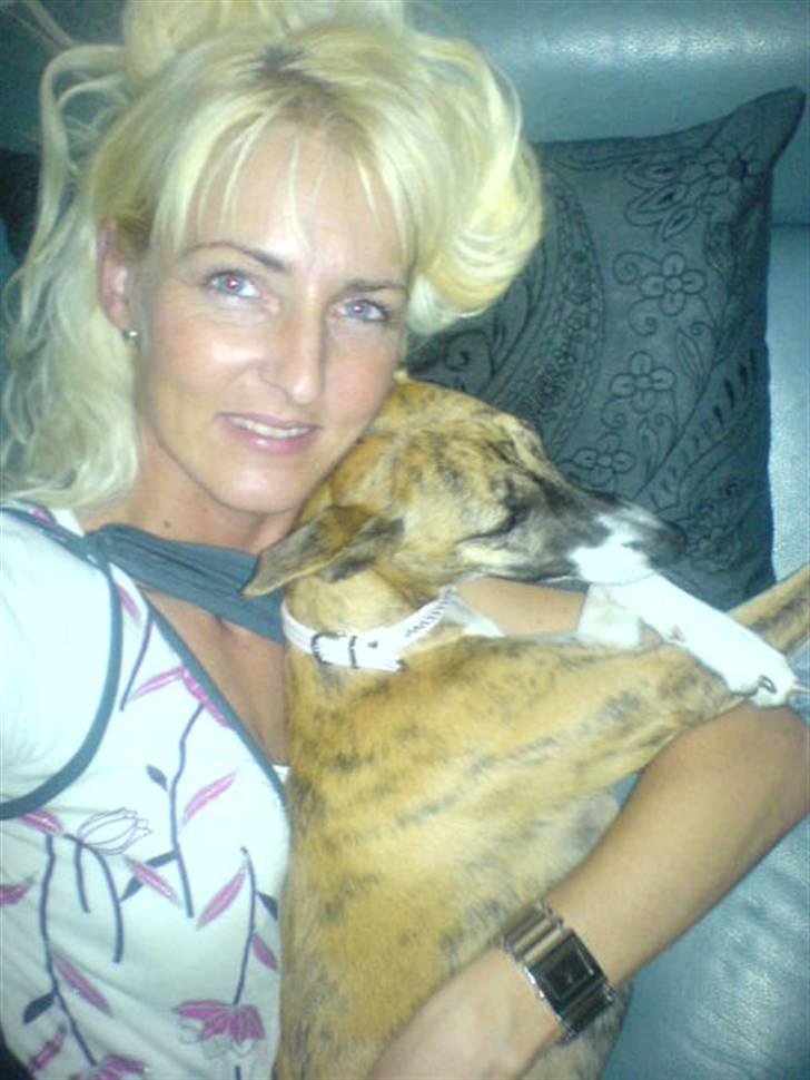 Whippet Yessi - EEEEEEEEEEEeeeeeeeeeeelsker min mor over alt.  :) billede 5