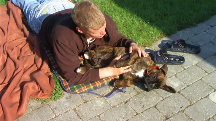 Boxer Mathilde - så leger jeg med far billede 10