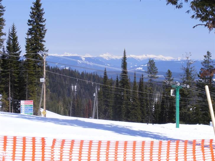 Norwich terrier Champ - Kan ikke beskrives, skal opleves wauuuuuuuu billede 10