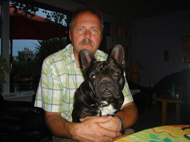 Fransk bulldog Gordon - mig og min far hygger billede 20