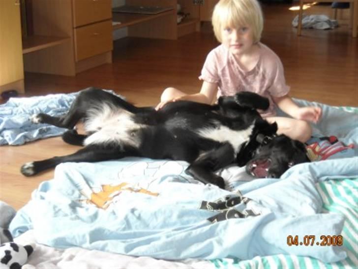 Blanding af racer Zisca - Pinde er noget af det bedste i verden at lege med.. billede 7