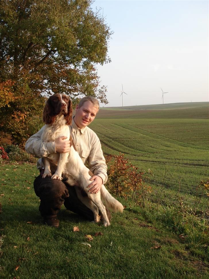 Engelsk springer spaniel Montie - Min kæreste og vores dejlige Montie i aftenssolen  billede 1