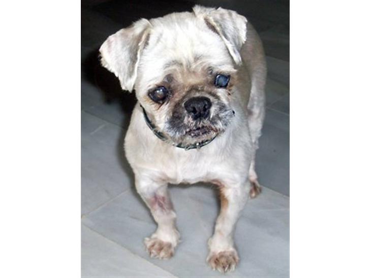 {{currentPhoto.altText}} billede {{currentPhoto.number}}