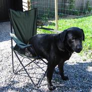 Blanding af racer Lakrids