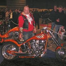 Amerikansk bulldog harley