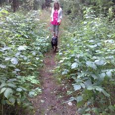 Blanding af racer Jessie