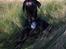 Blanding af racer GD&ROTTWEILER - Cola -