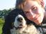 Engelsk springer spaniel Diana. <3 **Død* :'( - Diana bliver kramet af nikolaj.. <3