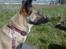Blanding af racer Bella