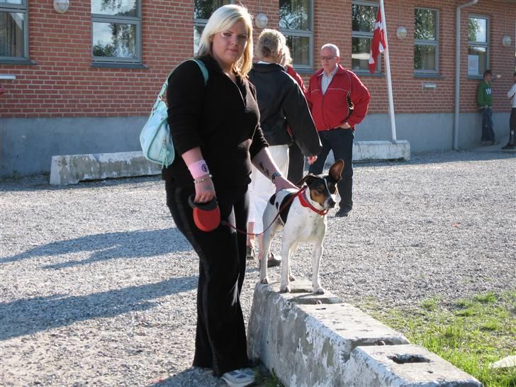 Dansk svensk gaardhund Hugo - Min ælste datter Luna billede 7