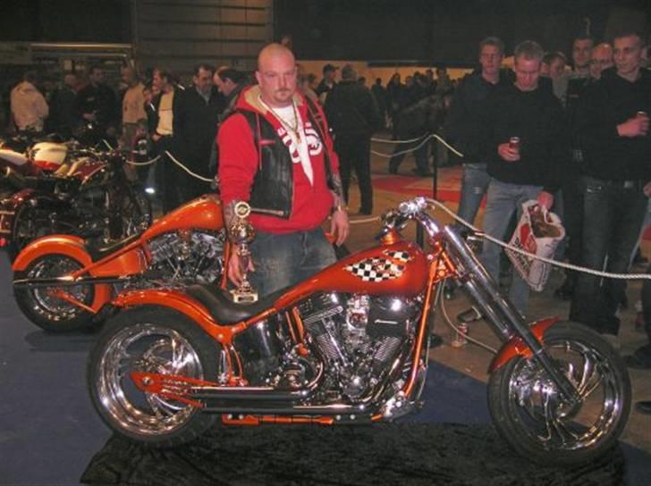 Amerikansk bulldog harley - Derfor hedder jeg HARLEY,det er min"såkaldte Storebror" billede 3